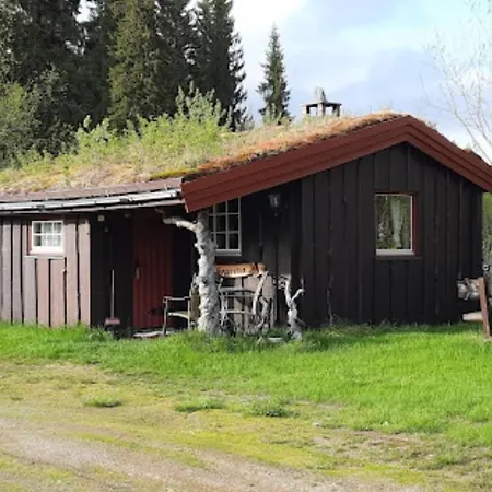 캠프장 Saeterhaugen Åsmulen