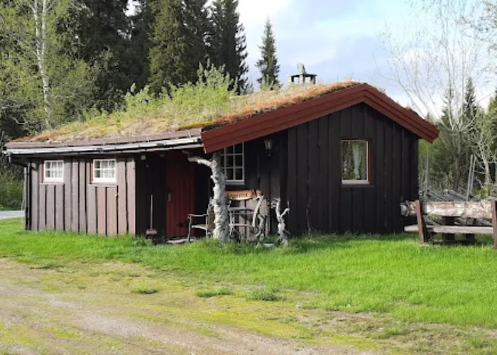 Kamp alanı Saeterhaugen Åsmulen